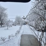 PANDEMIC AGE/Return to normality: is it really a return?